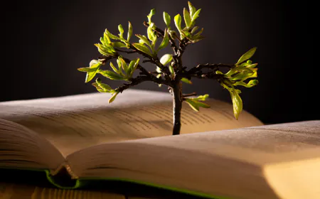 ഇൻഷുറൻസ്