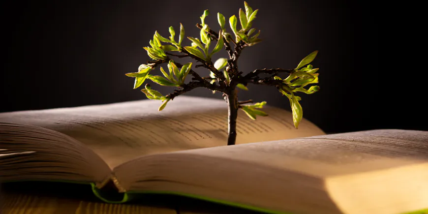 ഇൻഷുറൻസ്