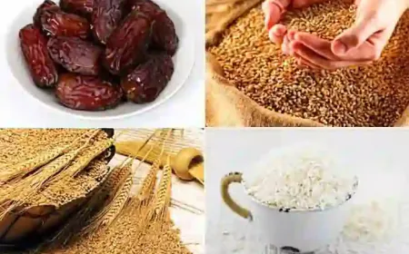 ഫിത്വർ സക്കാത്ത്