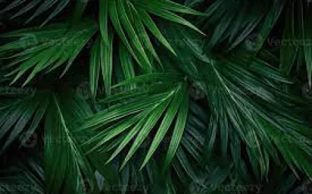 നിധി കിട്ടി