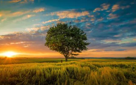 വിശുദ്ധ ഖുർആനിലെ അത്ഭുതങ്ങളിൽ നിന്ന് പത്ത് അത്ഭുതങ്ങൾ