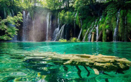 നബി (സ)ക്ക് രോഗം