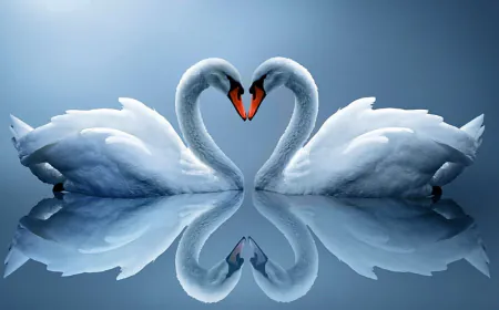 ബഹുഭാര്യത്വം