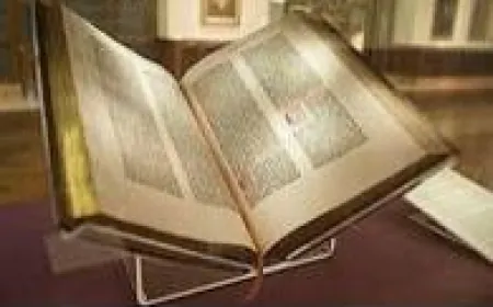 തിരുനബിയുടെ രാഷ്ട്ര നിർമ്മാണം