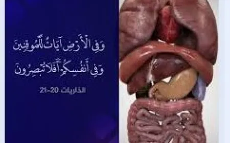 ഈ പ്രപഞ്ചത്തിലെ ഏറ്റവും വലിയ ദൃഷ്ടാന്തം!!