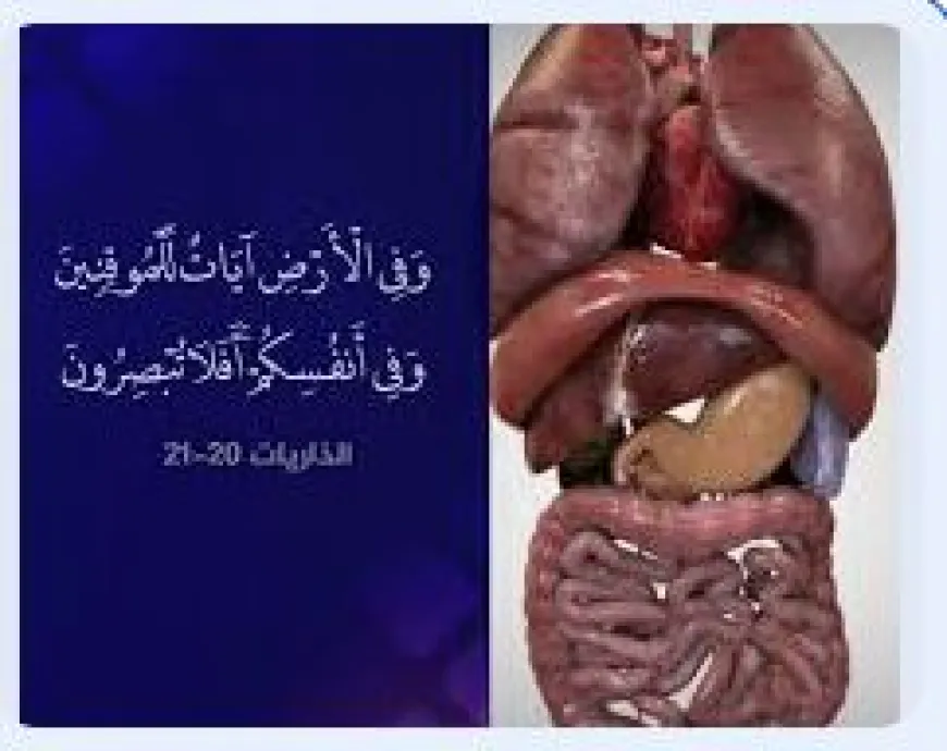 ഈ പ്രപഞ്ചത്തിലെ ഏറ്റവും വലിയ ദൃഷ്ടാന്തം!!