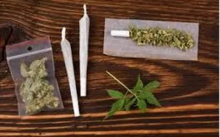 മയക്കുമരുന്നുകളെക്കുറിച്ചുള്ള ഒരു സംക്ഷിപ്ത വിവരണം