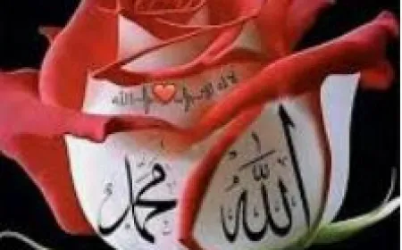 ആഘോഷങ്ങൾ ആപത്താകരുത്: അർദ്ധരാത്രിയിലെ വെടിക്കെട്ടും ആരോഗ്യപ്രശ്നങ്ങളും