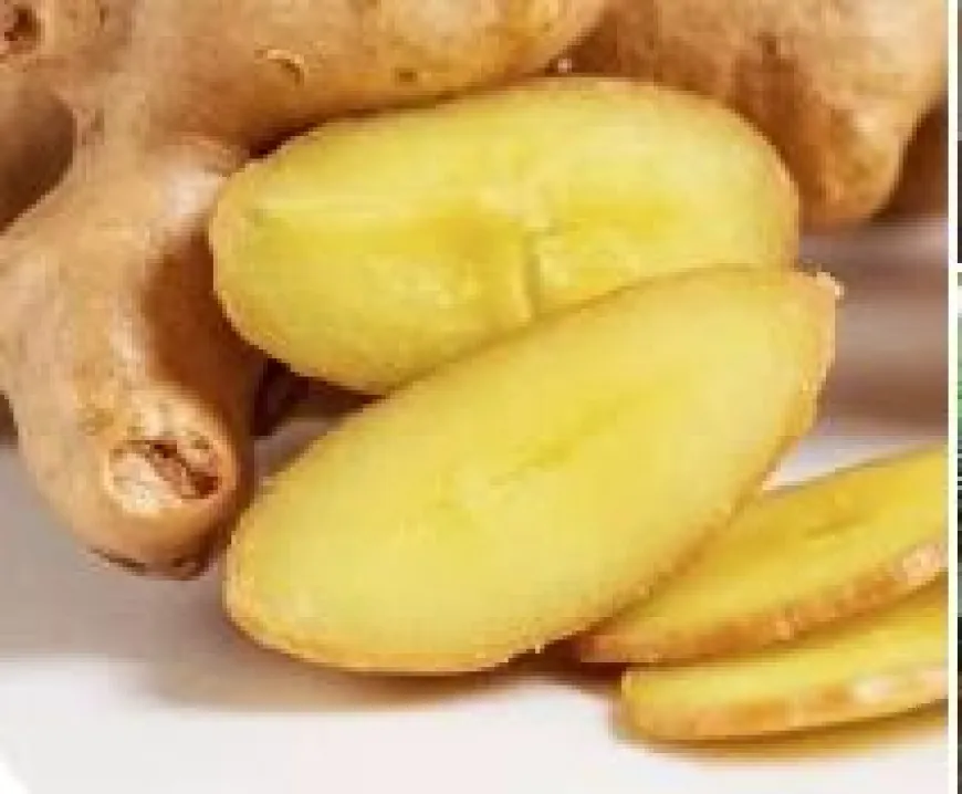 ഇഞ്ചി: സ്വർഗ്ഗീയ പാനീയവും ശാസ്ത്രം വിസ്മയിക്കുന്ന മരുന്നും