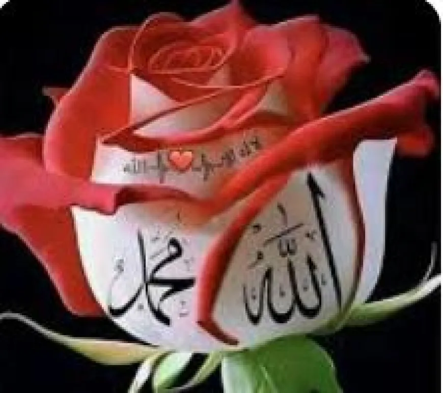 ആഘോഷങ്ങൾ ആപത്താകരുത്: അർദ്ധരാത്രിയിലെ വെടിക്കെട്ടും ആരോഗ്യപ്രശ്നങ്ങളും