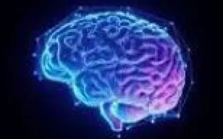 നഫ്‌സും റൂഹും  ആന്തരിക ലോകത്തെ രഹസ്യങ്ങൾ