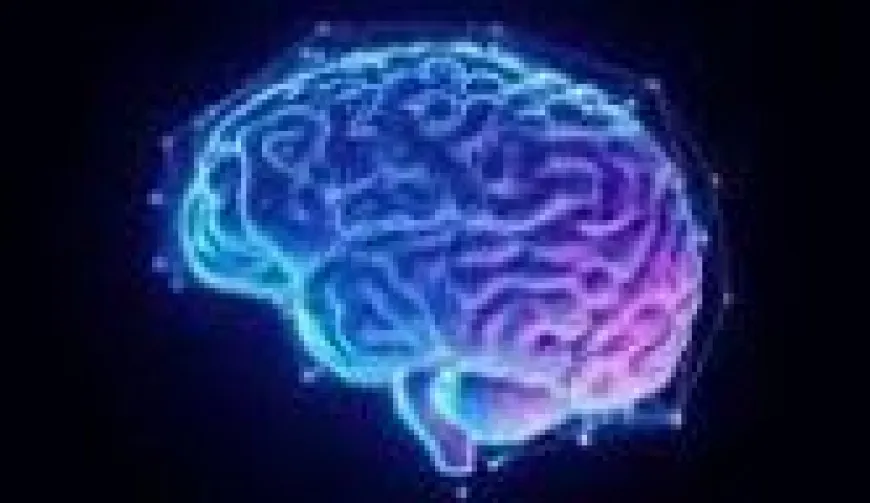 നഫ്‌സും റൂഹും  ആന്തരിക ലോകത്തെ രഹസ്യങ്ങൾ