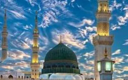 മൃഗക്കച്ചവടത്തിലെ സത്യസന്ധത , രോഗമുള്ള മൃഗങ്ങളെ വിൽക്കുന്നതിന്റെ ഇസ്‌ലാമിക വിധി